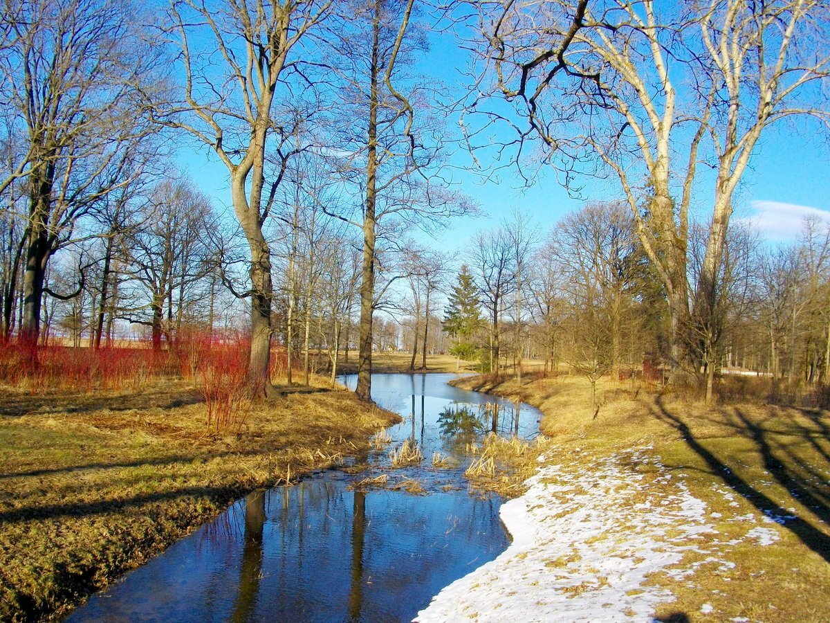 фото из интернета