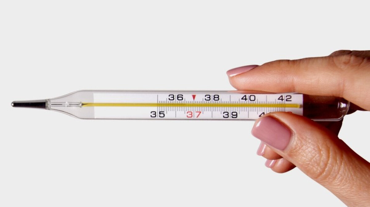 Термометр ртутный 1. Ртутный в футляре meridian. Термометр максимальный сп-83 n2 (50+250). Термометр медицинский ртутный тмр 2002/12. Термометр медицинский безртутный импэкс-мед.