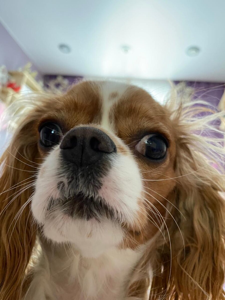 Интереснооо...