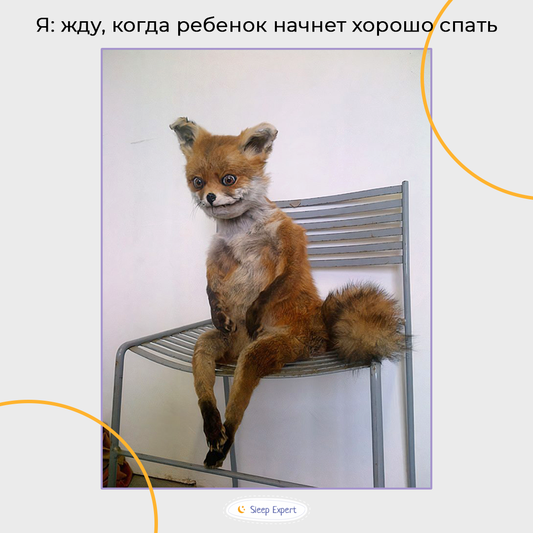 www.sleep-expert.ru
