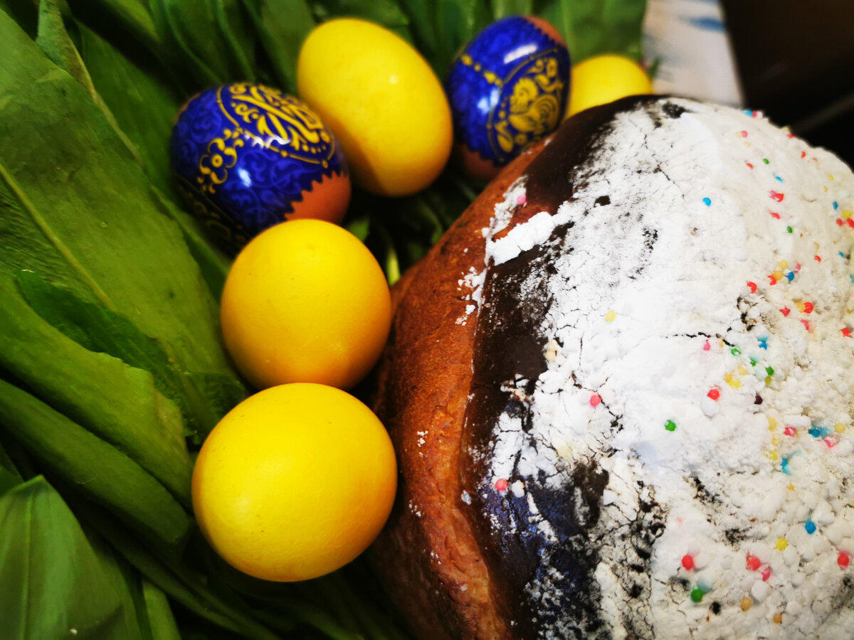 Каждый год, когда приближается Великий праздник Пасха (Äipäiv) , невольно вспоминаю свое детство, выпавшие на шестидесятые годы прошлого столетия, яркие картинки, касающиеся этого события.

В те годы, когда проходило наше детство, этот праздник, значимый для нашего малочисленного народа был более чем Новый год и запрещался государством. Но наши родители все – таки негласно, но праздновали его, благо выпадал он всегда на воскресенье.

Подготовка начиналась задолго до этого светлого дня. Помню, мама с другими деревенскими женщинами собирались и мыли поочерёдно дома. У нас в семье, когда уже старшие братья женились, маме помогали мыть невестки (Антонида, Мария, Алевтина). Всё начиналось с того, что снимали с окон занавески, скатерти, покрывала, края с кроватей. Всё стиралось, причём, вручную. Вечером, после работы, устанавливали две железные ванны и начинали стирать, заранее замоченное бельё. Мама стирала на первый раз, а кто – либо из невесток на второй раз. Потом полоскали на речке. Последний этап это подсинивание и подкрахмаливание.

Самая трудоёмкая работа была - помывка дома. Без этого, практически, ни одна семья не обходилась. Каждая хозяйка к этому подходила по – своему. У нас снимали вторые рамы с окон, мыли окна, белили печки. Заранее готовили щёлок (mugl). Золу просеивали, кипятили в больших чугунных горшках в русской печи, затем отстаивали и этим раствором мыли потолки и стены. Стены натирали, хвощем (рогозой), нарванной с берегов ручья. После этого приступали к мытью полов. Подсыпали на намоченный щёлоком пол песок (ćuru), который получали путём толчения перегоревшего камня в каменке бани. Затем, пол натирали голяком. Это была нелёгкая работа, поэтому если были свободные наши братья, привлекали их. До сих пор помнится этот приятный запах натертых и на несколько вод промытых полов! И мама, вспотевшая, с румянцем на щеках и вьющимися, мокрыми волосами от пота, уставшая, но довольная. После помывки на пол расстилали чистые половички. Для каждой комнаты с соответствующим рисунком: в кухню более темные, а в комнаты светлые. Вывешивали занавески на окна, края на кровати, стелили скатерти на столы, застилали покрывалами кровати. Дом оживал, как весенняя природа, всюду пахло свежестью и чистотой. После такой грандиозной работы в доме, приступали к уборке сеней. Всё это делали, конечно, не за один день, но не затягивали. Уборку заканчивали к чистому четвергу, потом топили баню.

К этому празднику мама, нам девочкам, всегда старалась шить новые платья, обязательно с карманами. Платья были простенькие, ситцевые, но всегда с красным оттенком, без всяких излишеств в крое. Но сколько у нас было радости, когда одевали их, пахнущие краской и сундуком, поскольку материал, купленный заранее, хранился там.

Накануне праздника, мама ставила тесто для пирогов. У нас был большой, литров на шесть, глиняный горшок. Туда наливала молоко, добавляла соль, сахар, растительное масло, дрожжи, засыпала муку и месила опару мутовкой (härkin). Опару (taigin)ставила на печку до раннего утра, а утром добавляла тёплое растопленное масло и ещё муки. Тут уже

сбивать мутовкой, было тяжелей, но тесто поднималось быстро. Мне очень нравилось смотреть, как она это делала. Я всё пыталась залезть в горшок пальчиком в тесто и пробовать на вкус. Мама не ругалась, наоборот, в то мгновение останавливала свою работу. Часто смотрела, как она катает сканцы для калиток, пиргов, так мы их называли. Позднее стали называть их «пироги для зятя», наверное, потому что, когда приезжали сватать девушку, всегда готовили эти пироги. Я с восхищением смотрела на руки мамы, как она ловко и быстро всё делает. Сканцы у неё «плясали, крутились как в вальсе». Я спрашивала: «мама, как ты это делаешь?» А она со скромной улыбкой отвечала: «доченька, так ведь это не писать. Писать так тяжело, а сканцы катать нет». Она меня учила, но постичь это мастерство, я смогла много позже. Всё что я наблюдала, наверно, и повлияло на меня. Когда мамы не стало, я сама стала печь пироги.

Наутро, в праздничный день, на столе стояли пироги с творогом, клюквой либо брусникой, калитки, колобы. Как она все успевала, и хозяйство справить и такое количество пирогов испечь! Надо сказать, что печёности были у нас в каждое воскресенье, но не в таком количестве и разнообразии. Бабушка хлопотала у печки. Красила яички. Не знаю, какой краской (muju) она пользовалась, но яйца были красные, очень красивые. Уже позже стали красить луковой шелухой. Это теперь красят яйца, пекут куличи, освящают в церкви, а тогда кто как умели и когда было время. Помню один случай. Утром бабушка давала всем по яйцу и говорила: «Христос воскреси!» мы отвечали: «Во истину Воскреси!», Николай - брат ответил ей: «Каной муна перскес». Бабушка ему дала такую «затрещину», что он, наверное, запомнил на всю жизнь. Этими яйцами мы «бились». У кого оказывалось яйцо крепче, тот выигрывал, импровизированно отдавали его выигравшему. А ещё, рано утром, перед восходом солнца, бабушка будила меня и говорила:

« Смотри, внучка, как солнце играет», восход был красивый, и лучи действительно играли, но это продолжалось недолго. Часто оно пряталось за тучи или поднималось красным шаром над горизонтом.

После праздничного завтрака, мы, дети, бегали по деревне и всех поздравляли с праздником, за что получали по яйцу, благо карманы были большие. Вот такие мои воспоминания о празднике Великой пасхи.

Сейчас я уже бабушка. Но когда мамы не стало, мне было 35 лет. Потерю пережила очень тяжело. В память о ней стала вспоминать её рецепты приготовления разных наших вепсских

блюд. Однажды, ещё до сорокового дня, мы с сестрой Валентиной, решили испечь пироги. Попросили помочь нам маму. Поставили тесто, оно получилось пышным. Мы начали лепить пирожки, старались всё делать, как показывала мама. Противень с пирожками поставили на теплую лежанку в другую комнату, чтоб они подошли. Сами возились с печкой, готовили её для выпечки. Когда всё было готово, я пошла за пирожками в комнату и вижу, два пирожка перевёрнуты. Зову Валентину, мы обе в недоумении: дома никого не было, котов у нас нет. Кто мог перевернуть пирожки?

Подумали, если мы попросили помощи у мамы, значит, она была тут, с нами и таким образом дала знать о себе. Пироги у нас получились пышные, вкусные, хотя это были наши первые шаги в этом деле. Вот такая мистическая история у нас была. Живя далеко от дома на Дальнем востоке, начала самостоятельно печь калитки, угощала своих знакомых, потом потихоньку стала печь пироги. Все – таки, наверное, мама оттуда помогала мне. В дальнейшей нашей жизни, мы много раз вспоминали блюда из маминой кухни. И сейчас стараемся сохранить рецепты. Мои дочки и внучка готовят уже по нашим рецептам, конечно, отличающимся от наших родителей, но всё же основы те же. Очень хочется, чтоб рецепты нашего немногочисленного вепсского народа сохранились!