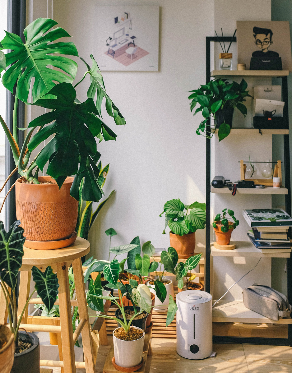 Photo by H. Phan on Unsplash