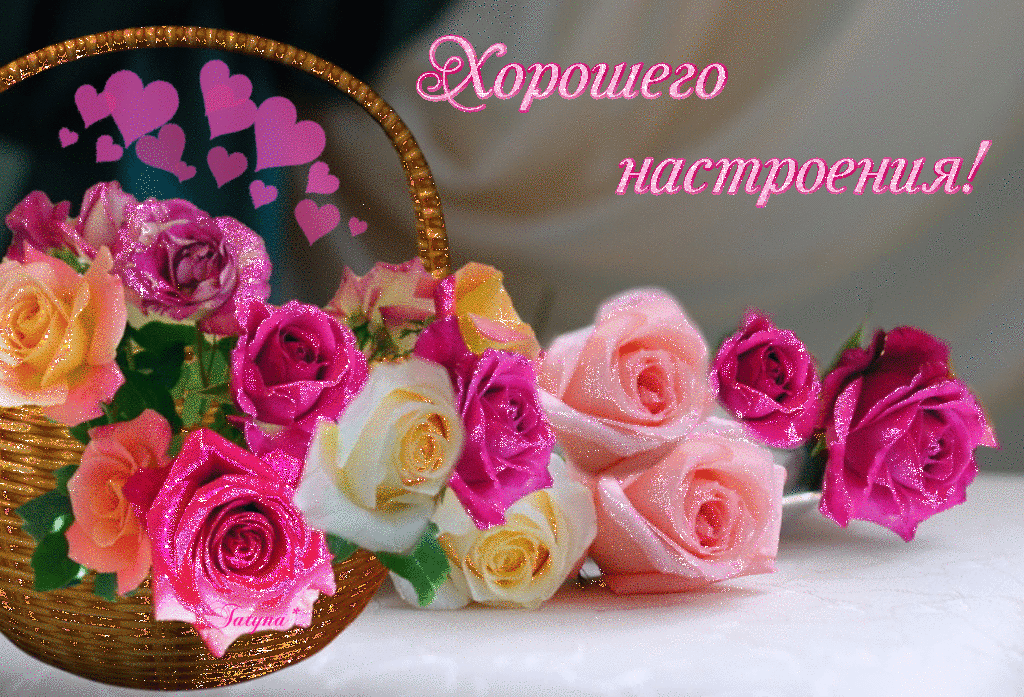 Источник Яндекс.Картинки