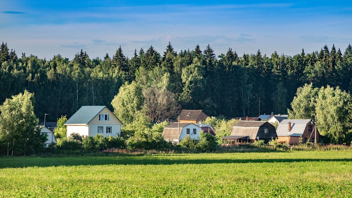 Фото: ИЗВЕСТИЯ/Константин Кокошкин 