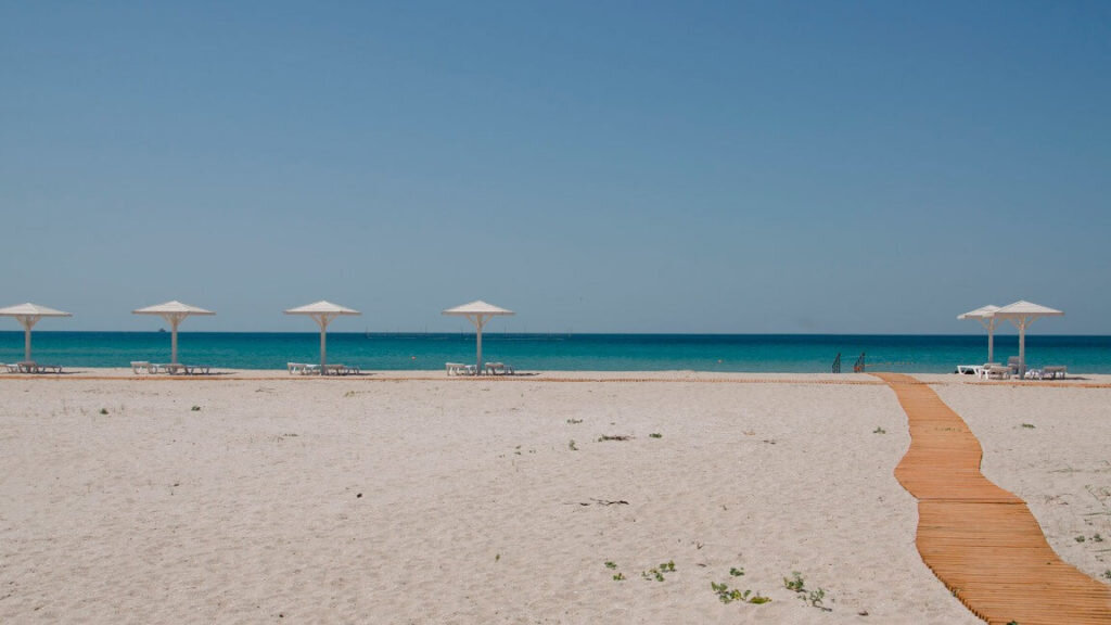 Фото из Яндекс.Картинок