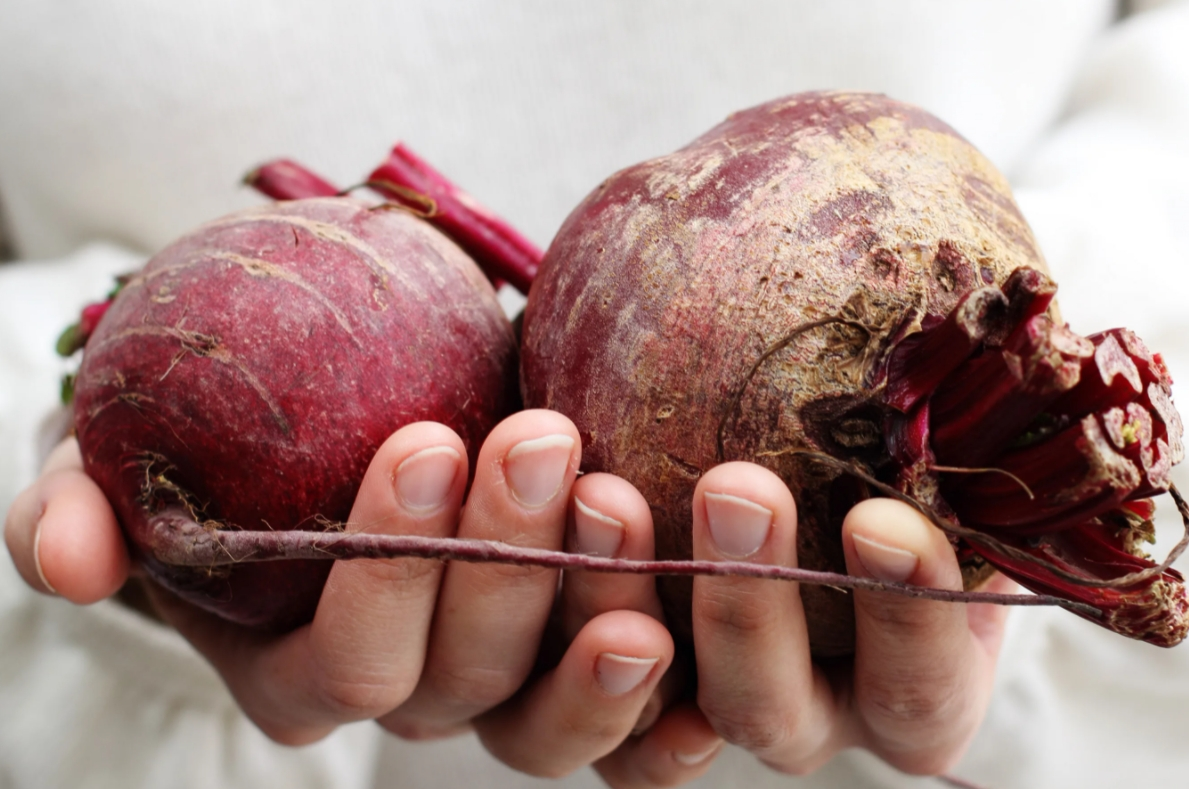 Самый полезный копеечный продукт, имеющий восемь оздоровительных свойств.  Все секреты свеклы - рассказываю | Фитнес тренер Юрий Спасокукоцкий | Дзен