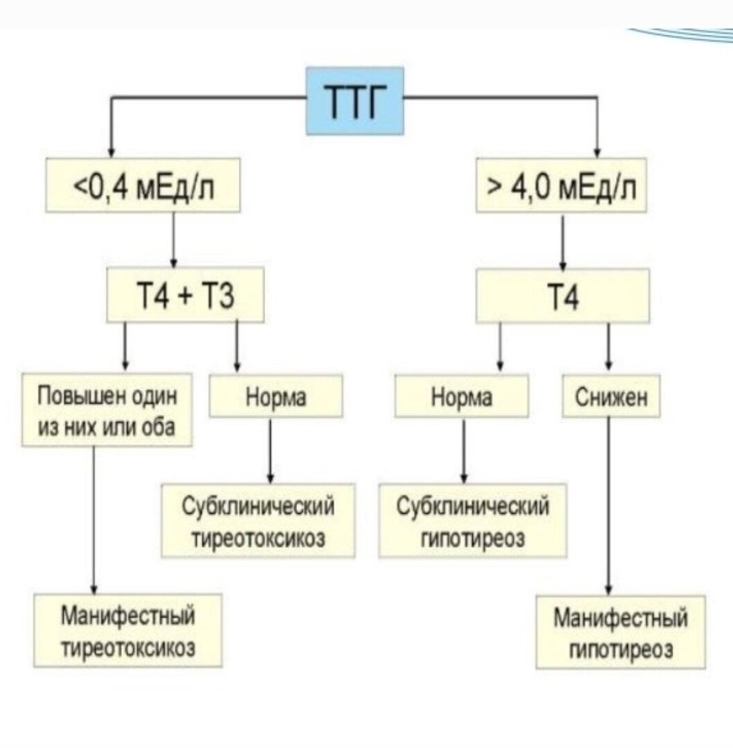 Анализы щитовидки -норма 