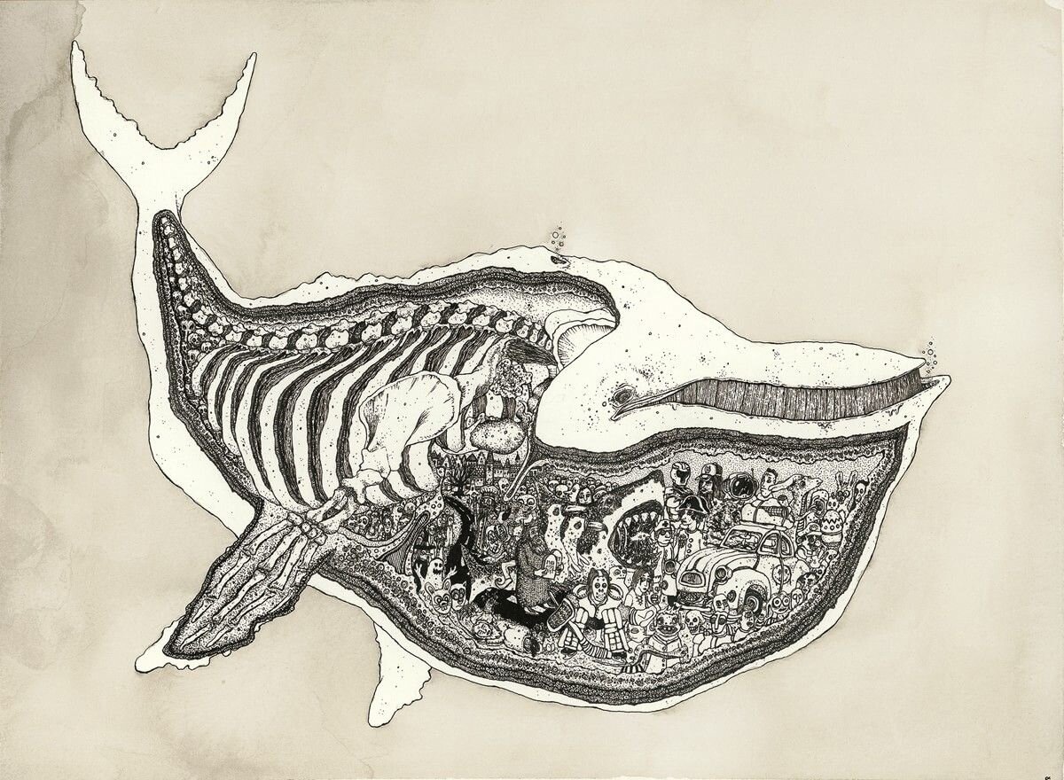 Печень кита. Кит Гренландский анатомия. Гренландский кит скелет. Анатомия кашалота.