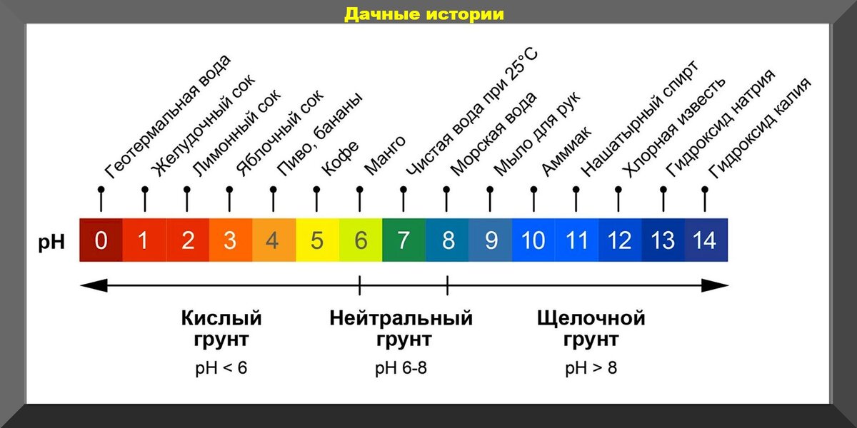 https://vk.com/photo-159774511_457254226