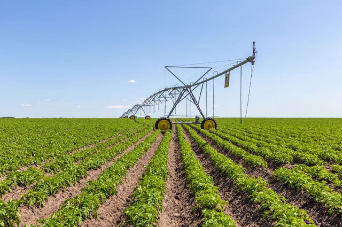    Когда из села перестанут утекать деньги?