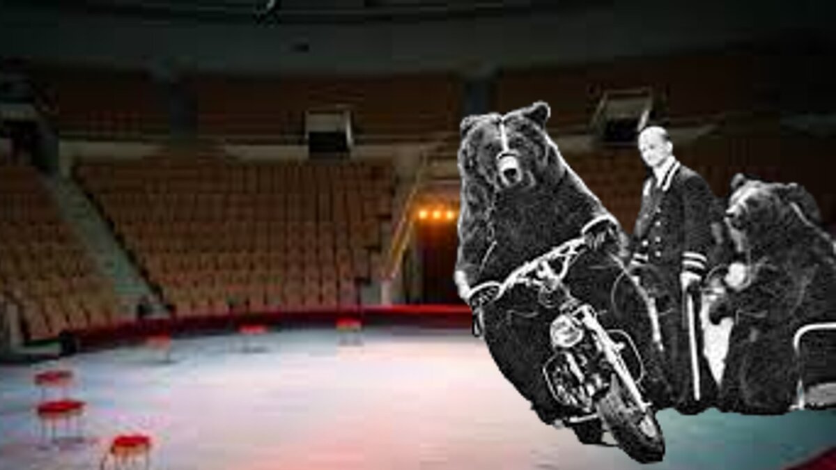 Филатов и его цирк