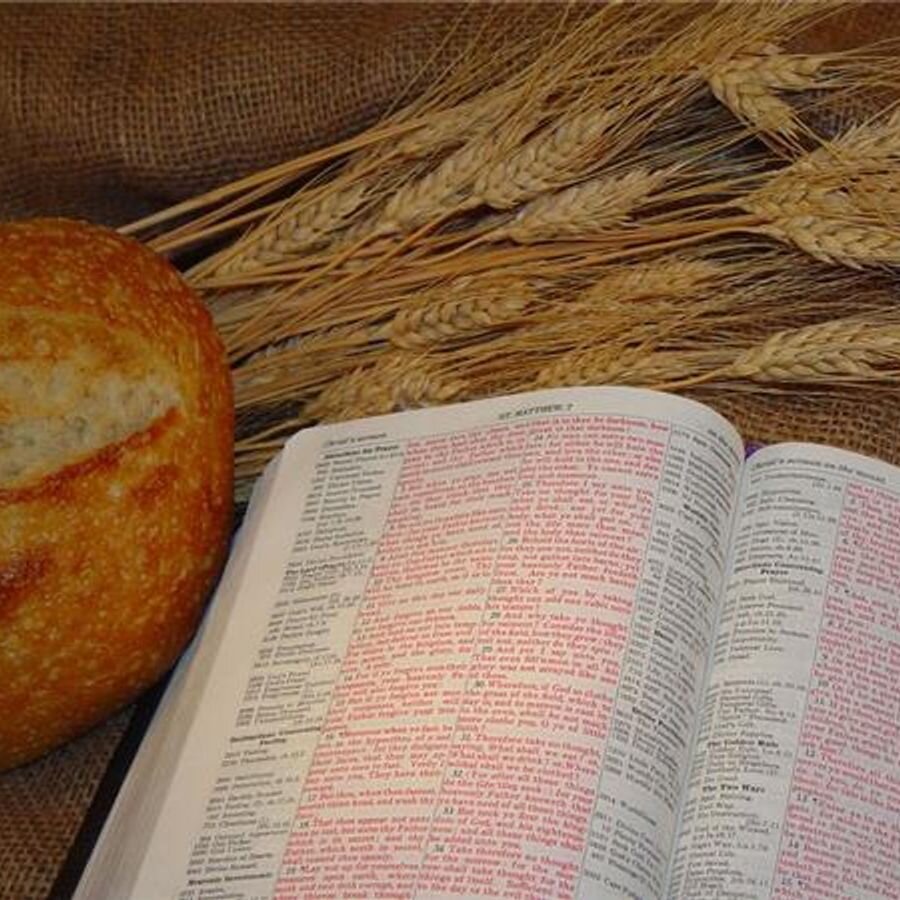 Фото из интернета