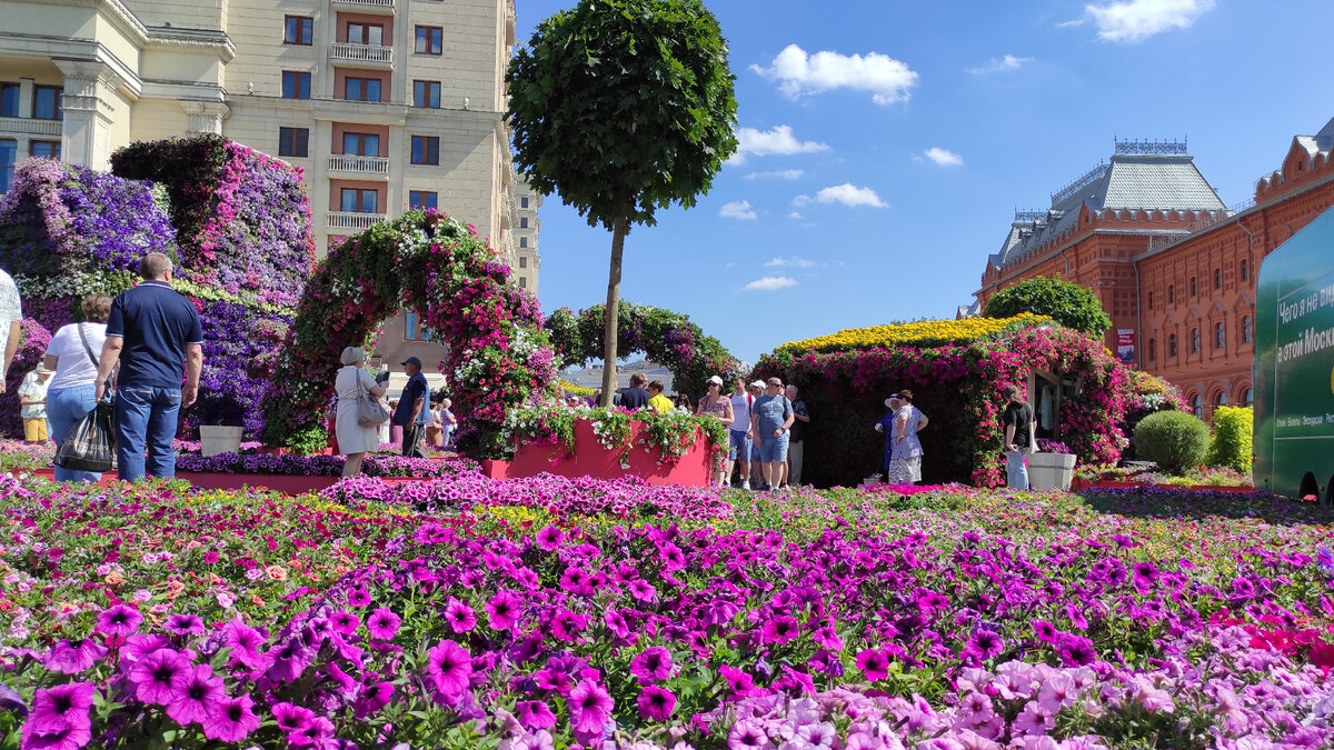 Москва выставка цветов