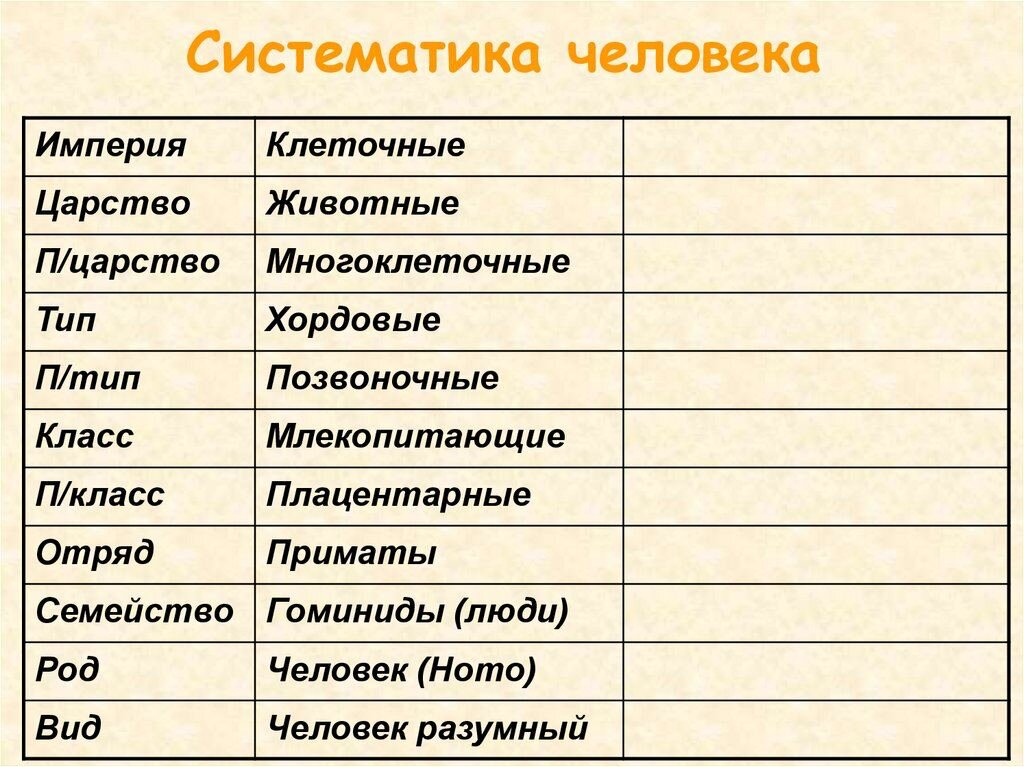 Схема вид род семейство отряд класс подтип тип царство