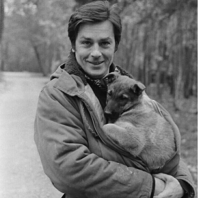 Фото из поиска Яндекс