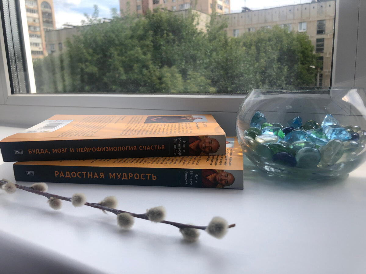 Книги, которые помогут встать на путь медитации