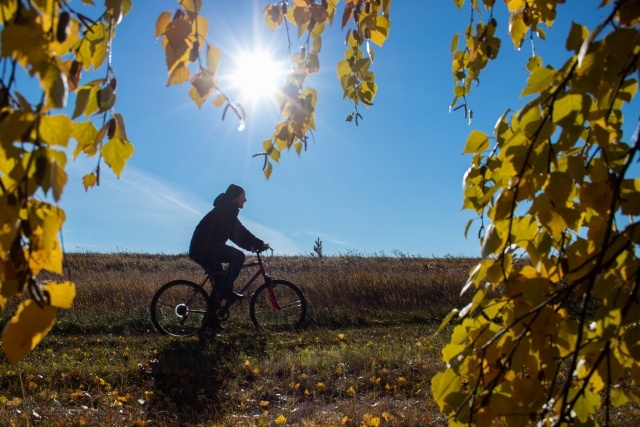   Велосипедист (осень) Анна Рыжкова (с) ИА REGNUM