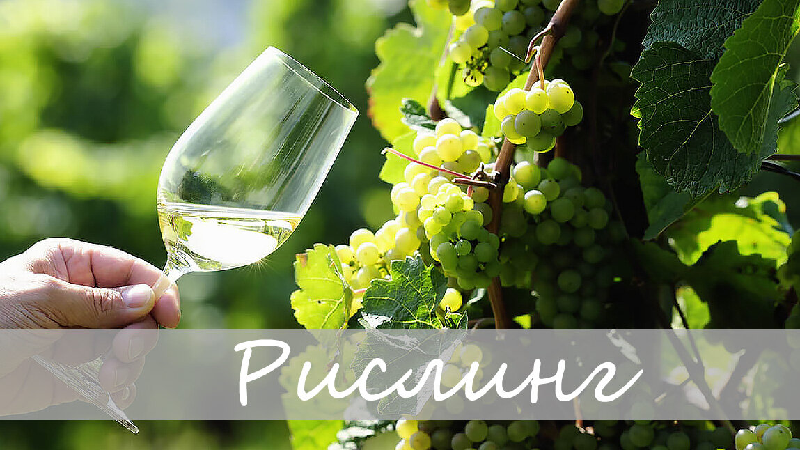 Riesling