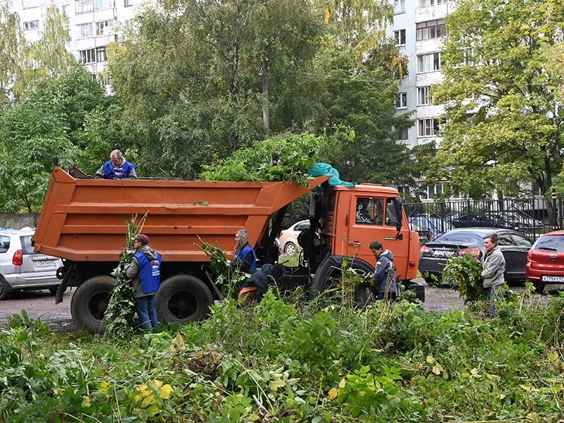   Екатерина Сидоренко