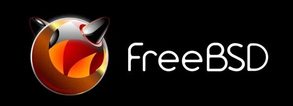 Как удалить файл, если нет места на диске с ZFS на FreeBSD?