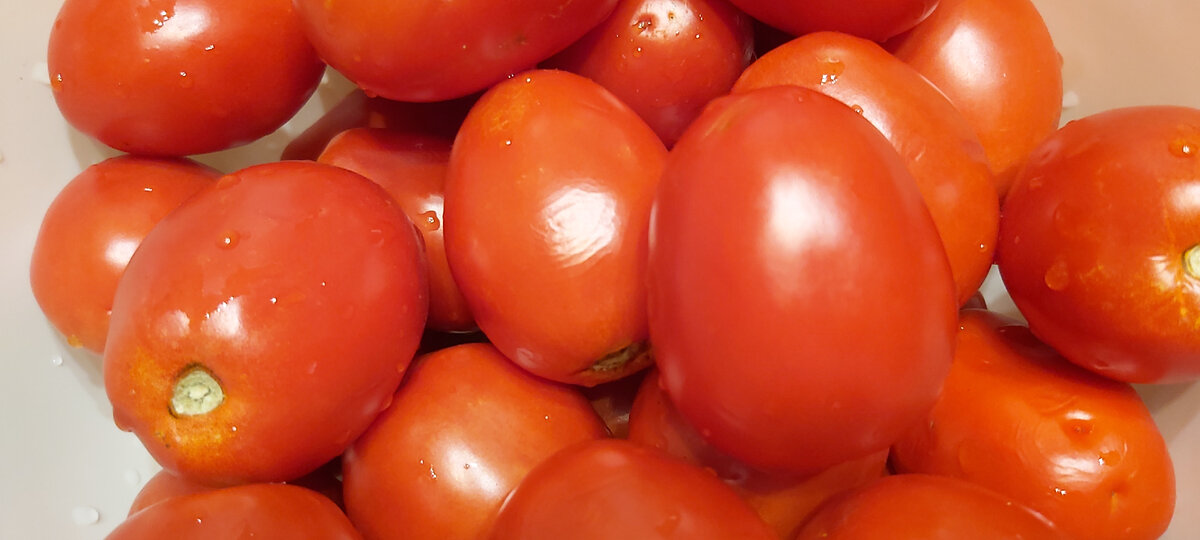 Сливовидные томаты из своей теплицы