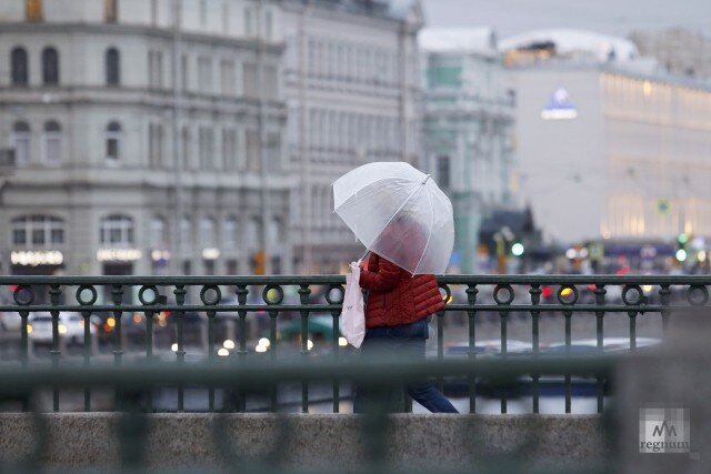    Женщина под зонтом в Петербурге Дарья Драй © ИА REGNUM