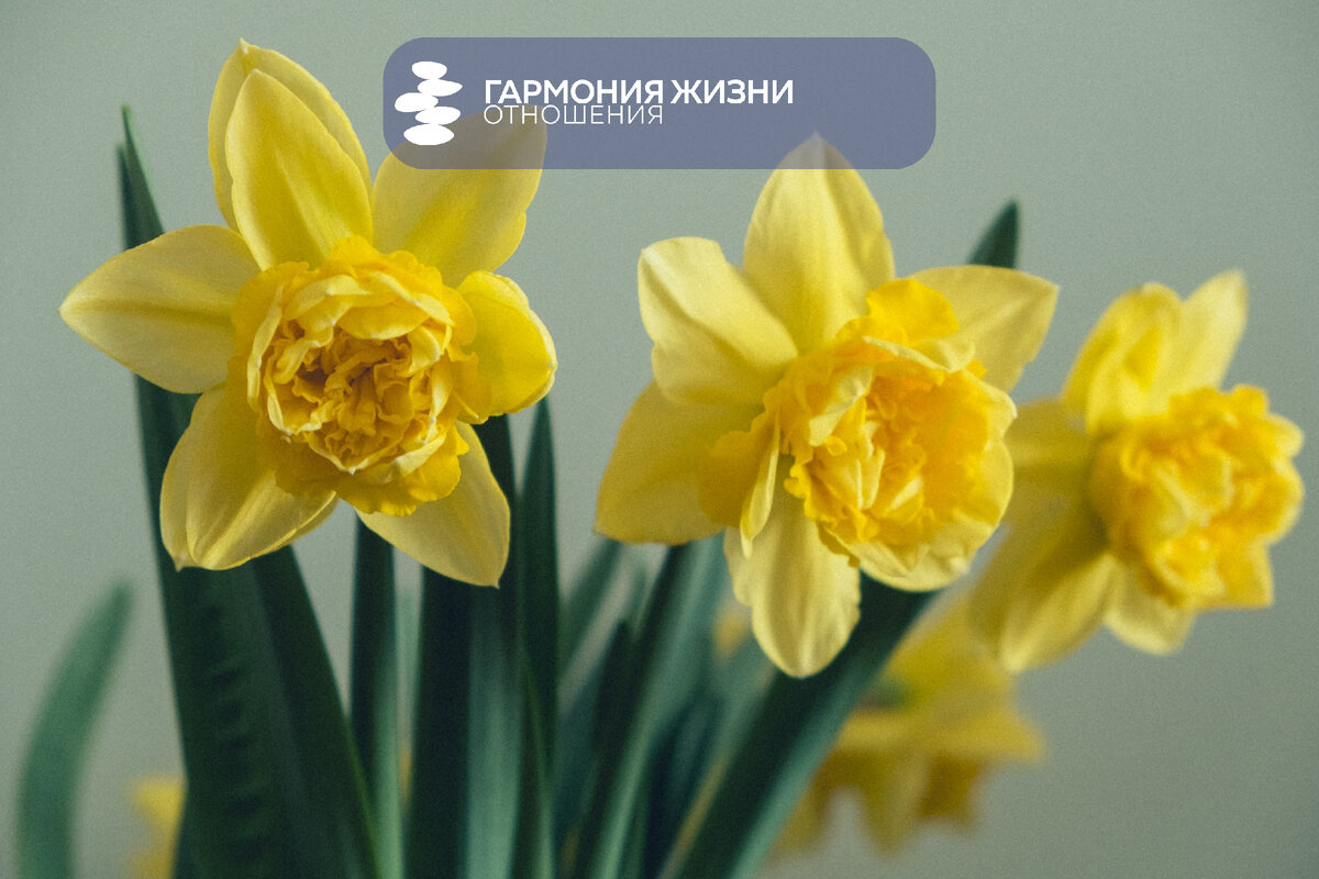 Photo by Kristaps Grundsteins on Unsplash