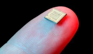    Фото: activistpost.com Антон Коваль