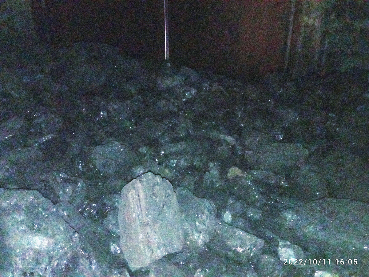 Сфотала вам свой уголь. Люблю его)) Не знала просто, какую фотографию для статьи взять