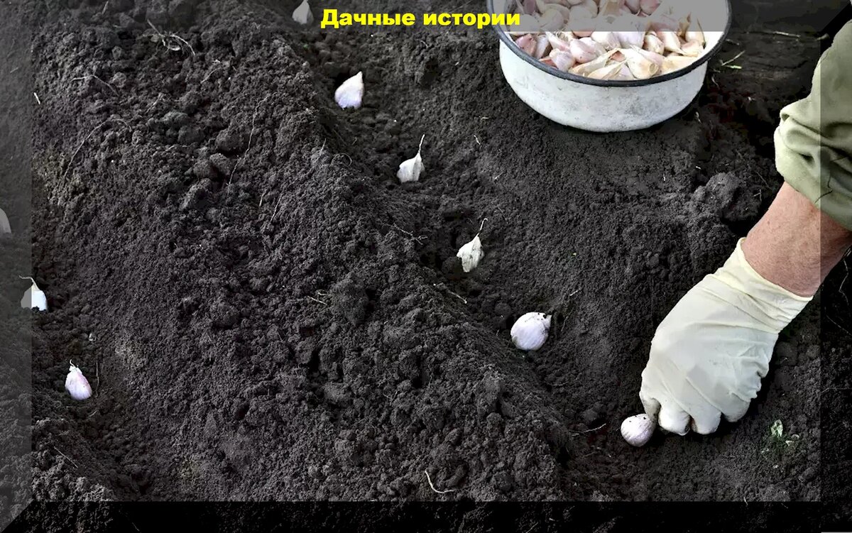 https://vk.com/photo-159774511_457256341