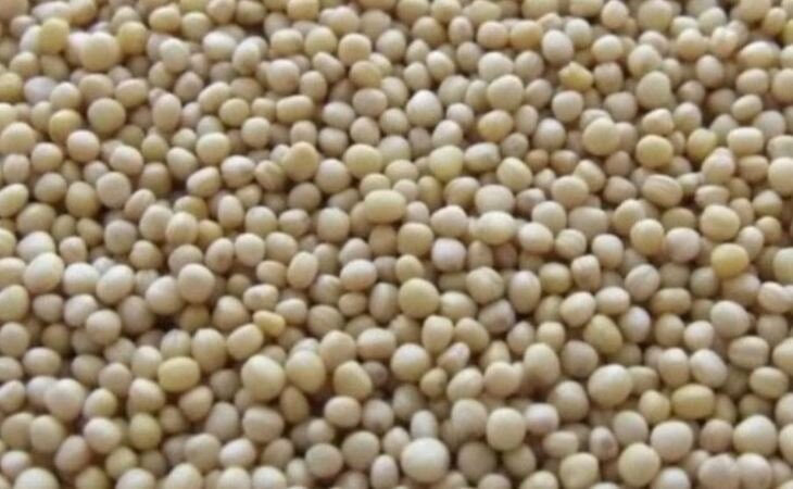    Почвенный гербицид трифлуралин подвел соеводческое хозяйство в Хабаровском крае под административку