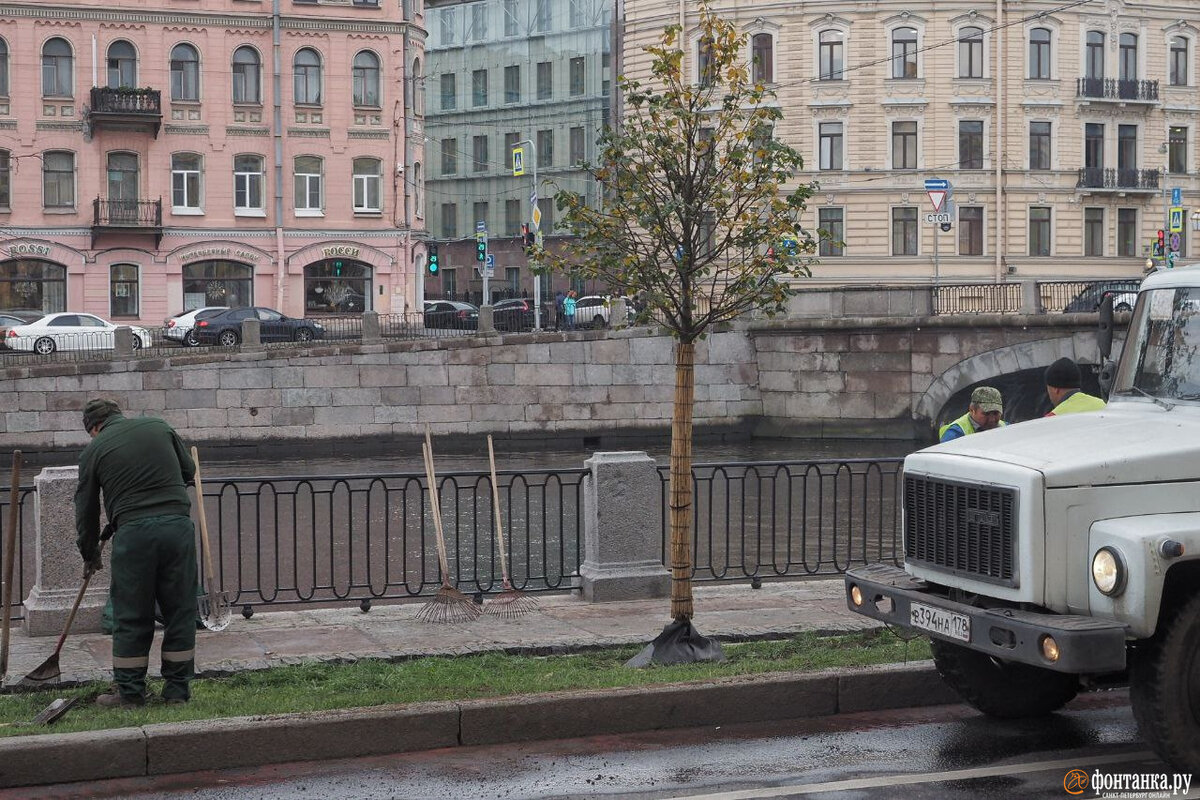 Авиабилеты сайты. Метро спб сенная площадь - спасская. Пересадка в питере. Липы в кадках спб. Станция метро площадь восстания спб.