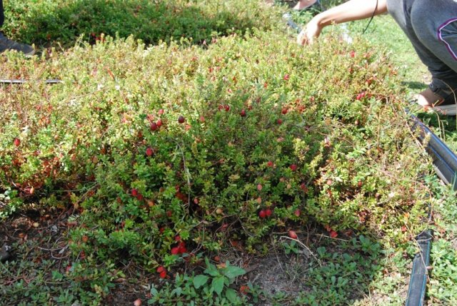 Осень - время подготовки