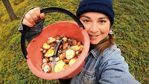 Люди съедят их и умрут🙄 Маслята попёрли| Осенние грибы в сосновом бору