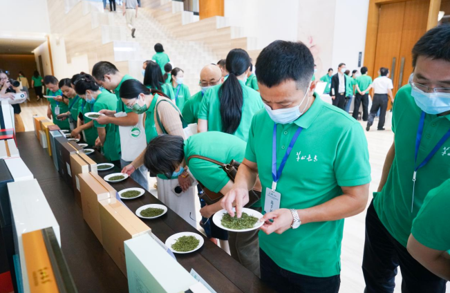 Конкурс профессиональных оценщиков чая. js.news.cn