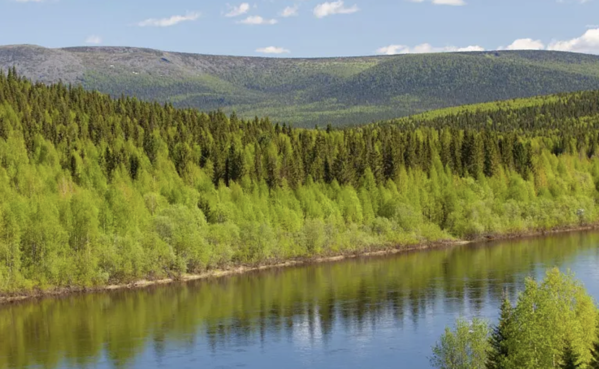    «ВодоходЪ» сделает акцент на круизы в Прикамье