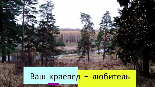 Прогулка по осеннему лесу. Часть 1. Вышли на берег лесной речки, а за ней березовая рощица в осеннем наряде