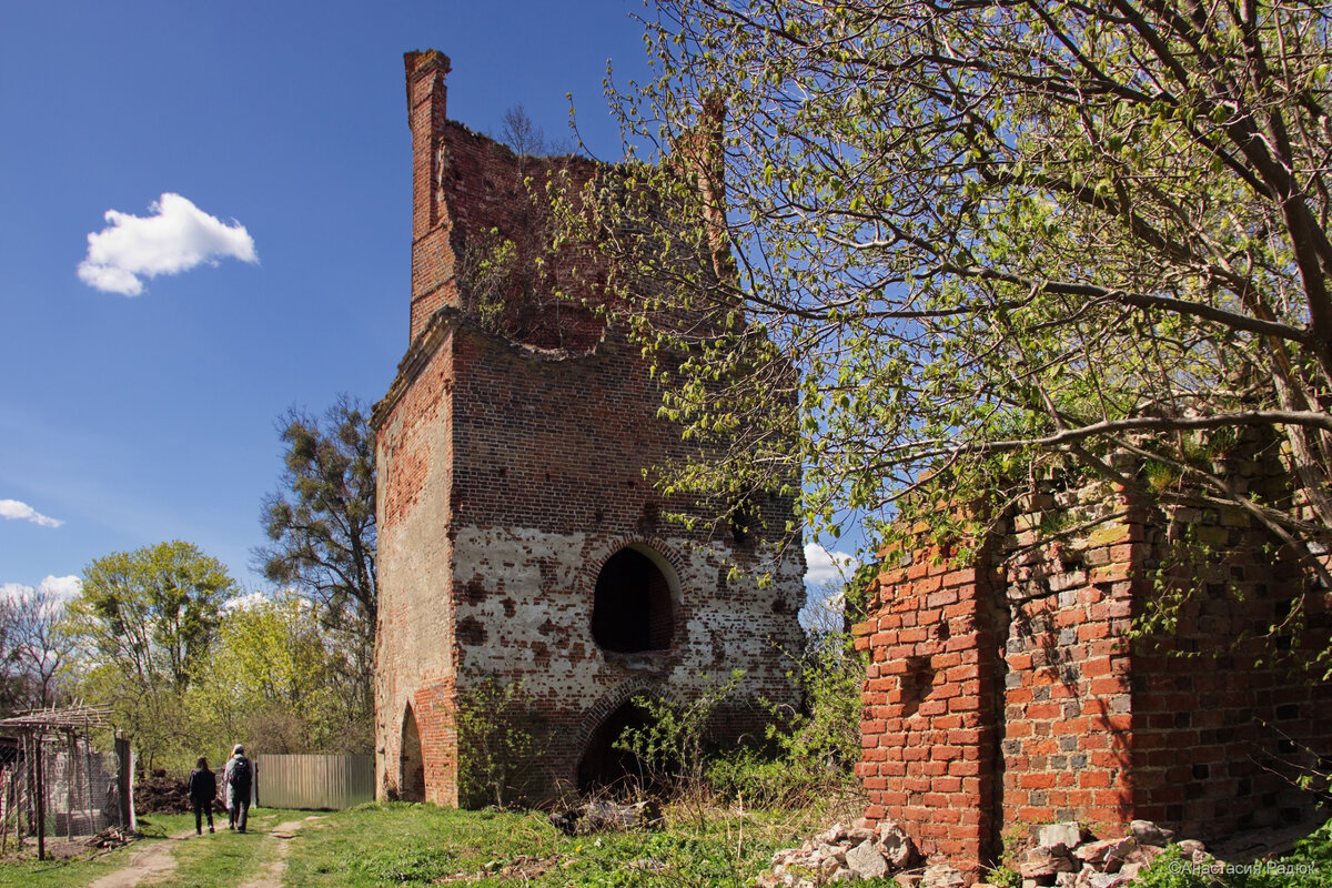 Руины кирхи Кройцбурга