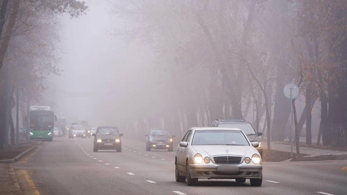    Машины едут по улице:NUR.KZ/ Владимир Третьяков