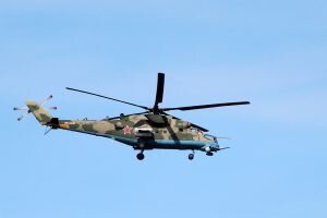    Фото: sevkor.ru Диана Аванесян