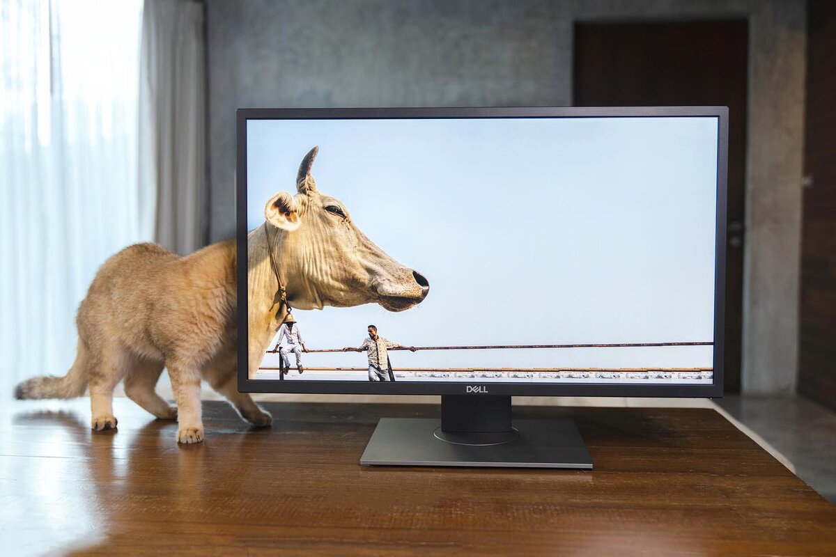 Фото: Tavepong Pratoomwong