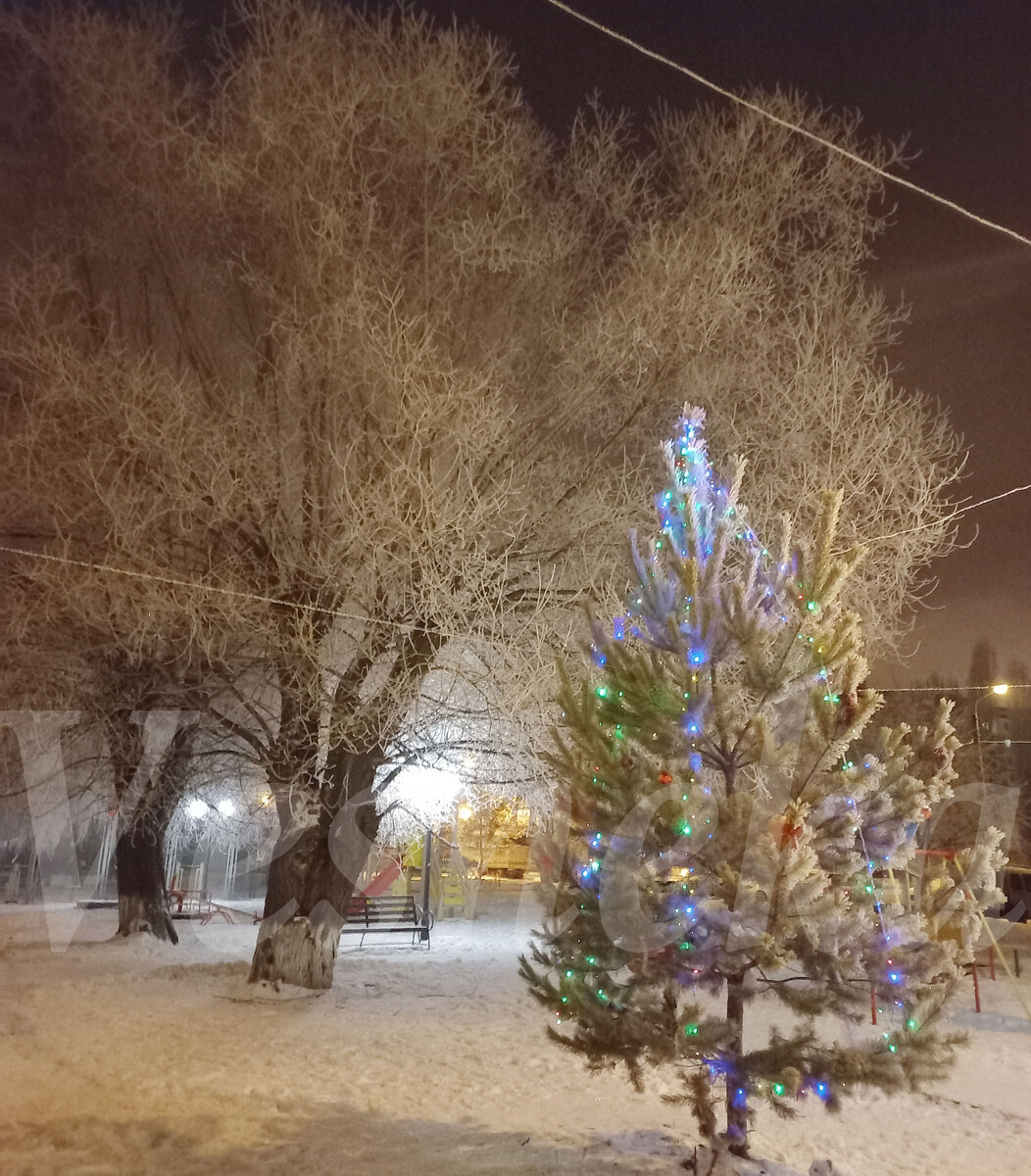 Фото автора
