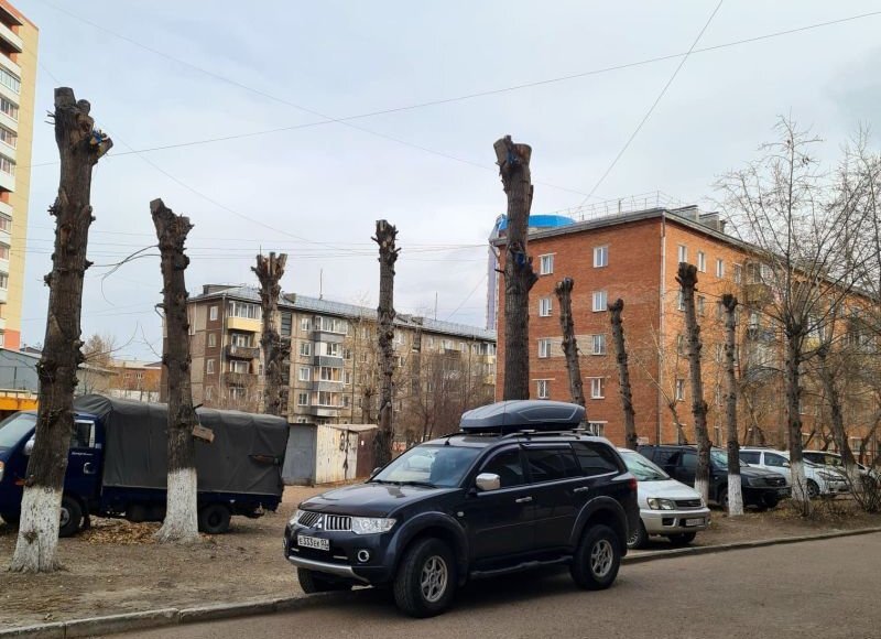    Фото: gazeta-n1.ru