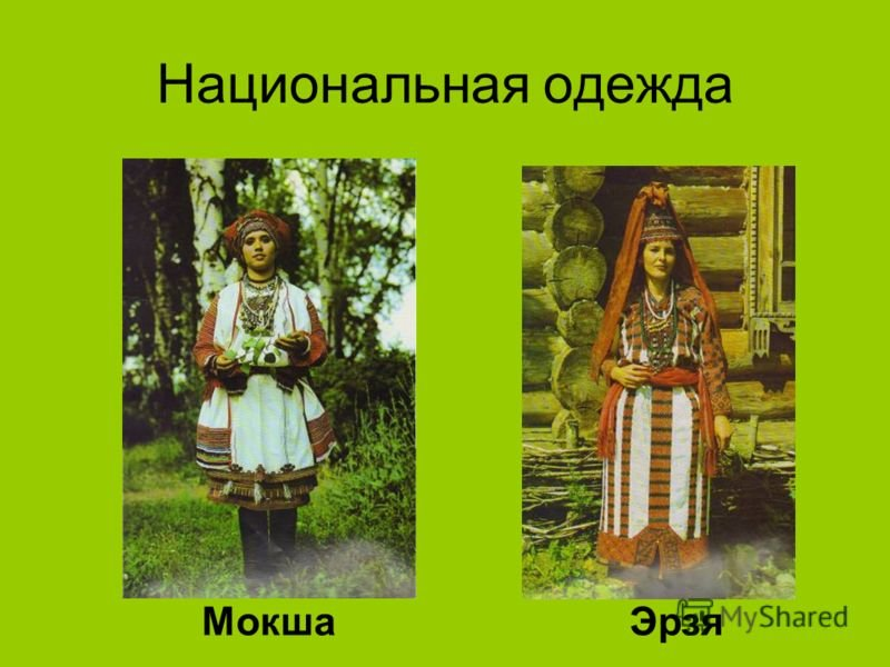 Валерий Тишков: «Если будут эмиссары пропагандировать «запишись татарином» – это позорная кампания»