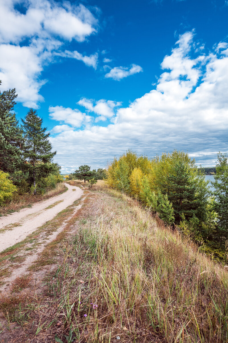 Бердская коса, Бердский залив - красивые места в городской черте. Бердск,  Западная Сибирь. | Сибирь в объективе. Евгений Мухортов | Дзен