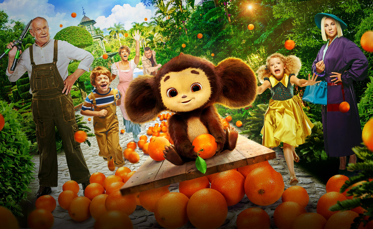 Фото взято из интернета 