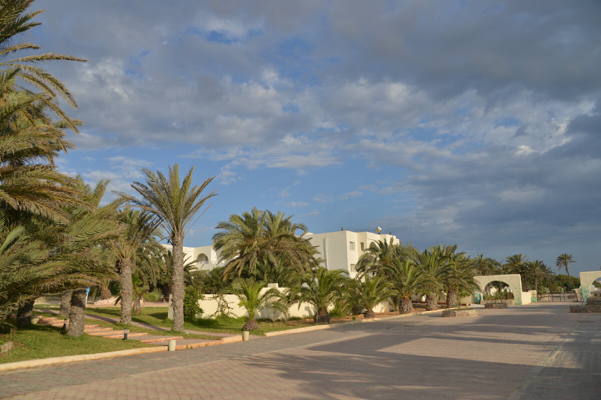 Фото Алексея Колотова