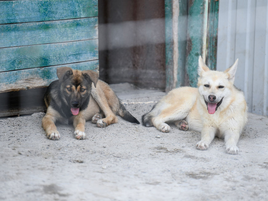 Город Казань KZN.RU