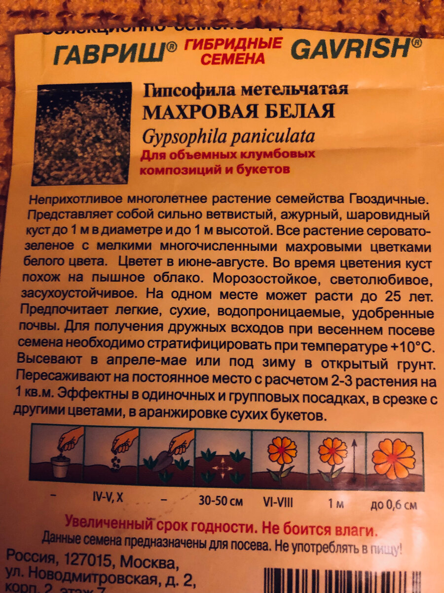Здесь обещано, что гипсофила будет цвести, как большой шар. 