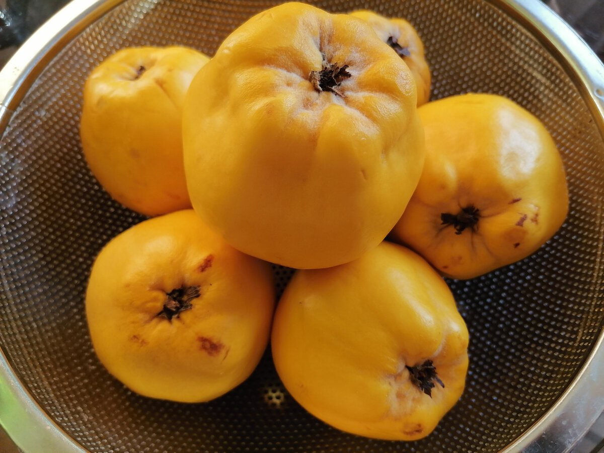 "Золотые яблоки" - азербайджанская айва для мармелада, 1,5 кг. Фото автора